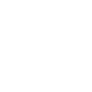 Bahamas Friends of the Environment
